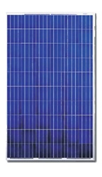 Canadian Solar 230 Watt Solar Panel - CS6P-230P