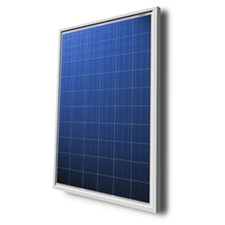 Talesun TP660P 245W - 245 Watt Solar Panel